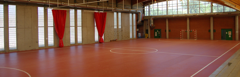 El Boalo Sports Hall, Madrid, Spain - Decoflex D6 Sports Flooring